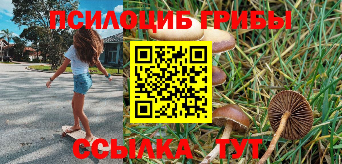 Черняховск  Галлюциногенные грибы Cubensis  Вход с VPN 